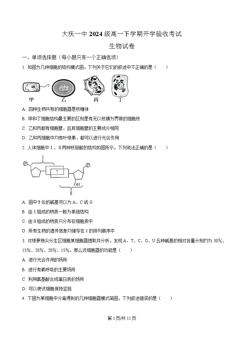 黑龙江省大庆市大庆第一中学2024-2025学年高一下学期开学验收生物试卷(原卷版)第1页