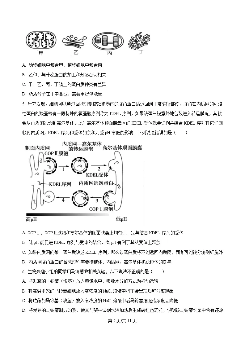 黑龙江省大庆市大庆第一中学2024-2025学年高一下学期开学验收生物试卷(原卷版)第2页