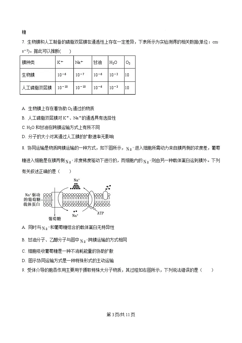 黑龙江省大庆市大庆第一中学2024-2025学年高一下学期开学验收生物试卷(原卷版)第3页