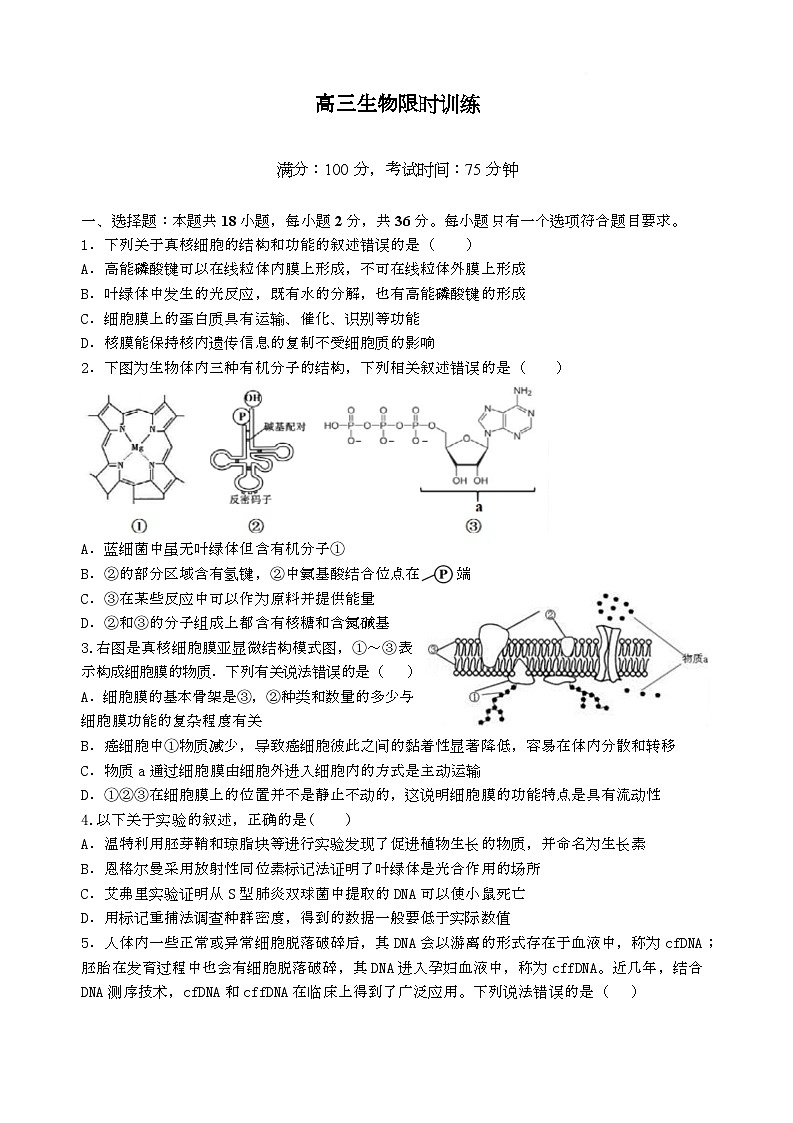湖北省武汉市华中师范大学第一附属中学2024-2025学年高三下学期3月检测生物试题第1页