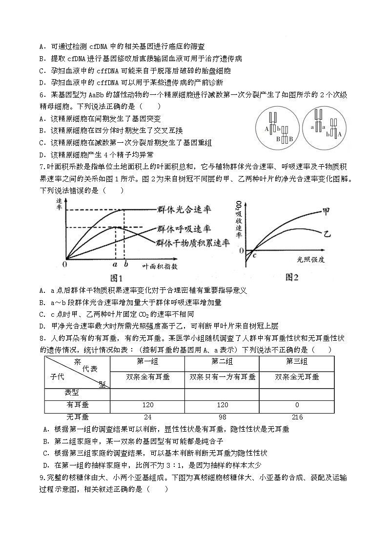 湖北省武汉市华中师范大学第一附属中学2024-2025学年高三下学期3月检测生物试题第2页