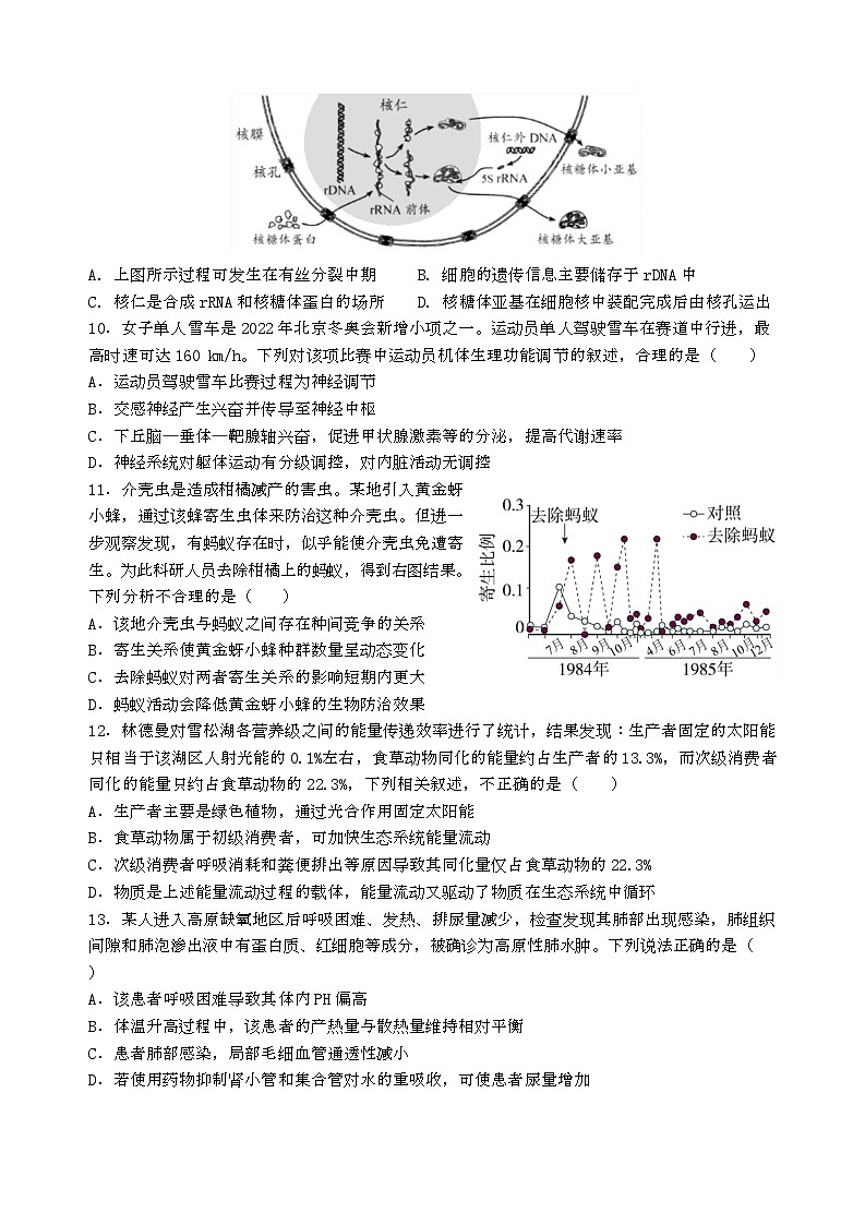 湖北省武汉市华中师范大学第一附属中学2024-2025学年高三下学期3月检测生物试题第3页