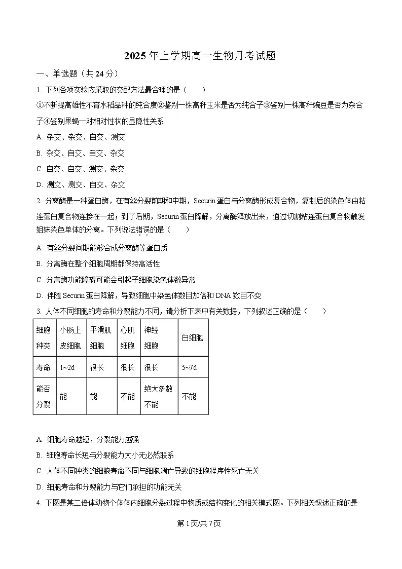 湖南省岳阳市岳阳县第一中学2024-2025学年高一下学期3月月考生物试题(原卷版)第1页