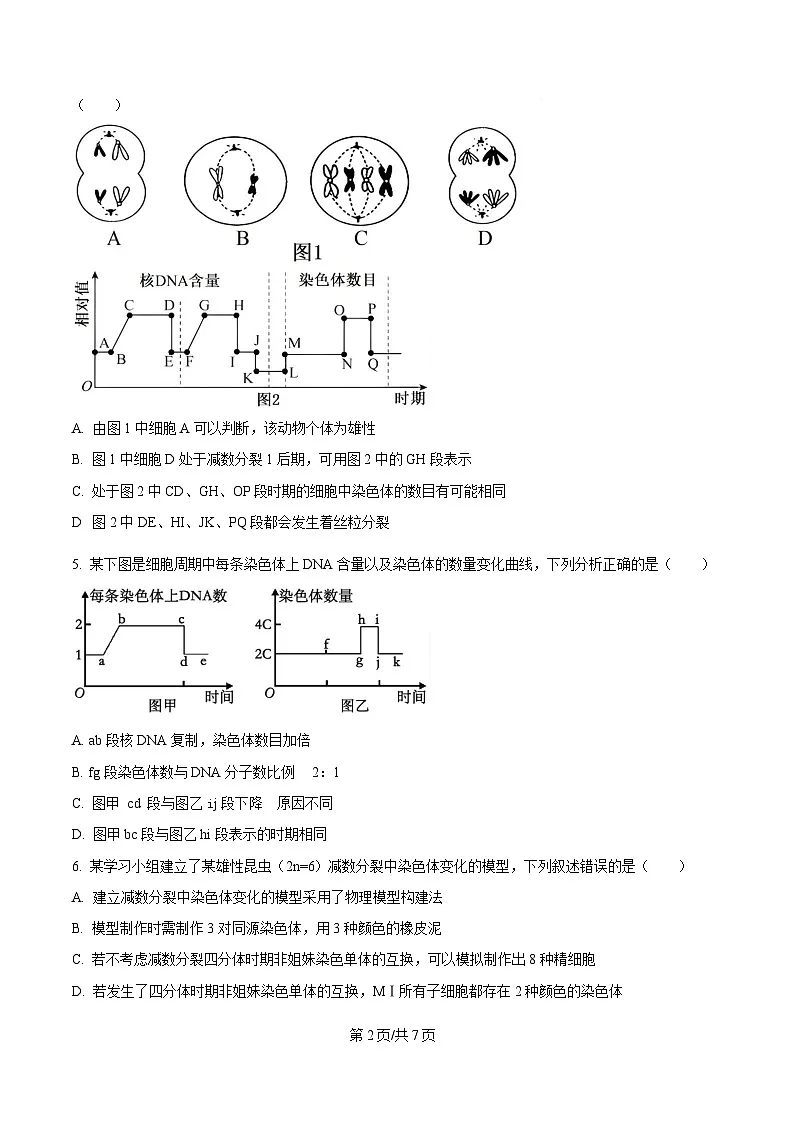 湖南省岳阳市岳阳县第一中学2024-2025学年高一下学期3月月考生物试题(原卷版)第2页