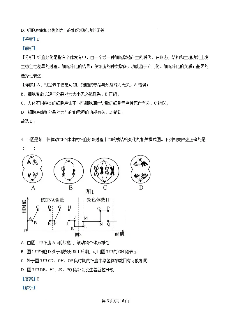 湖南省岳阳市岳阳县第一中学2024-2025学年高一下学期3月月考生物试题 Word版含解析第3页