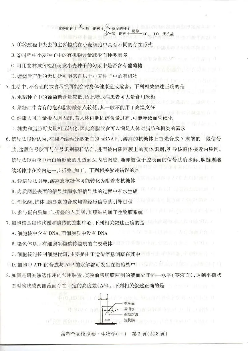 2024届海南省高三全真模拟卷(一)-生物试题(含答案)第2页