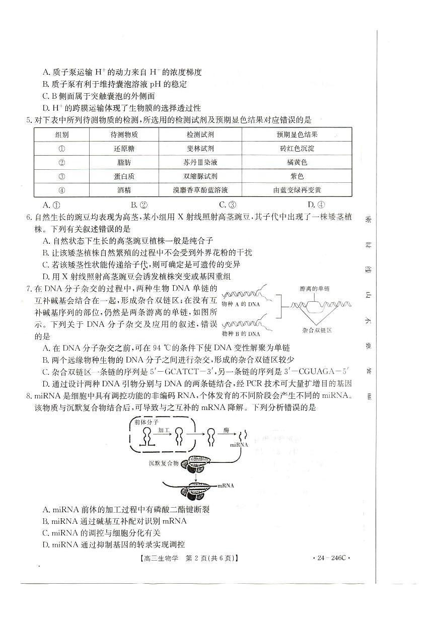 2024届海南省高三上学期12月一轮复习调研考试-生物试题(含答案)第2页