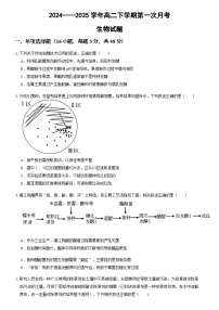 河南省郑州市中牟县第一高级中学2024-2025学年高二下学期3月第一次月考生物学试题（含答案）