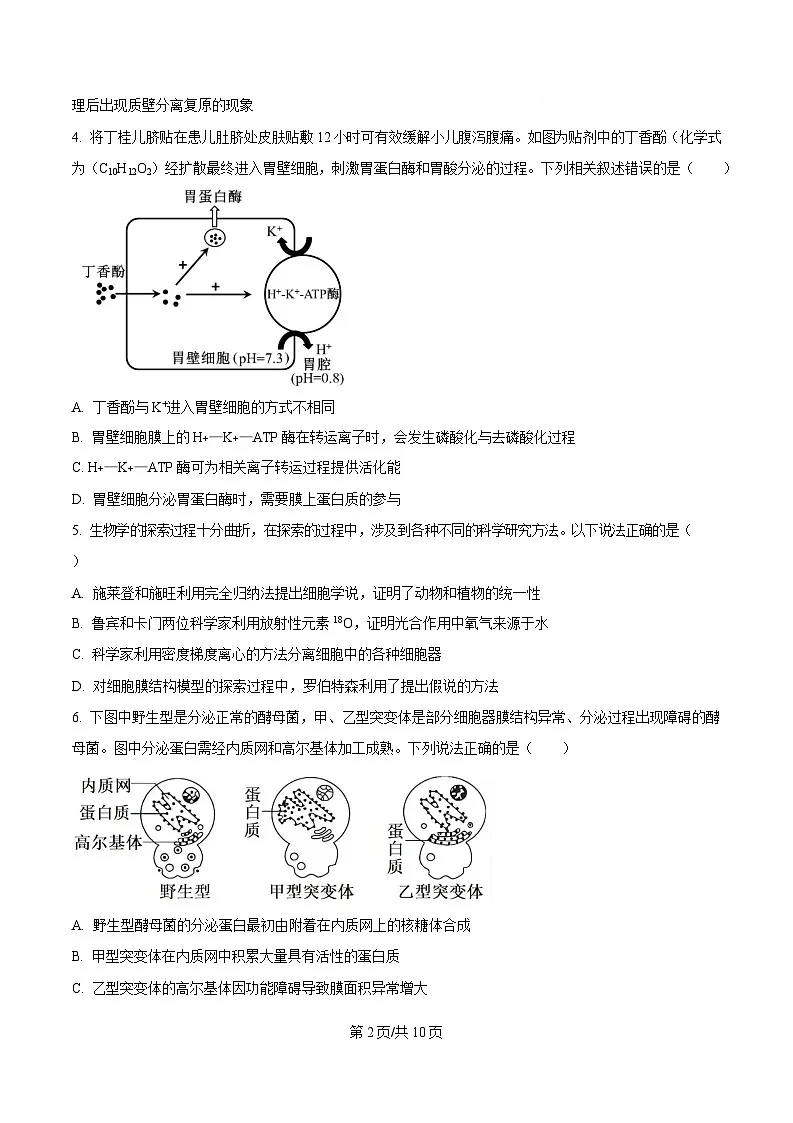 湖南省郴州市2024—2025学年高一上学期期末考试生物试题(原卷版)第2页