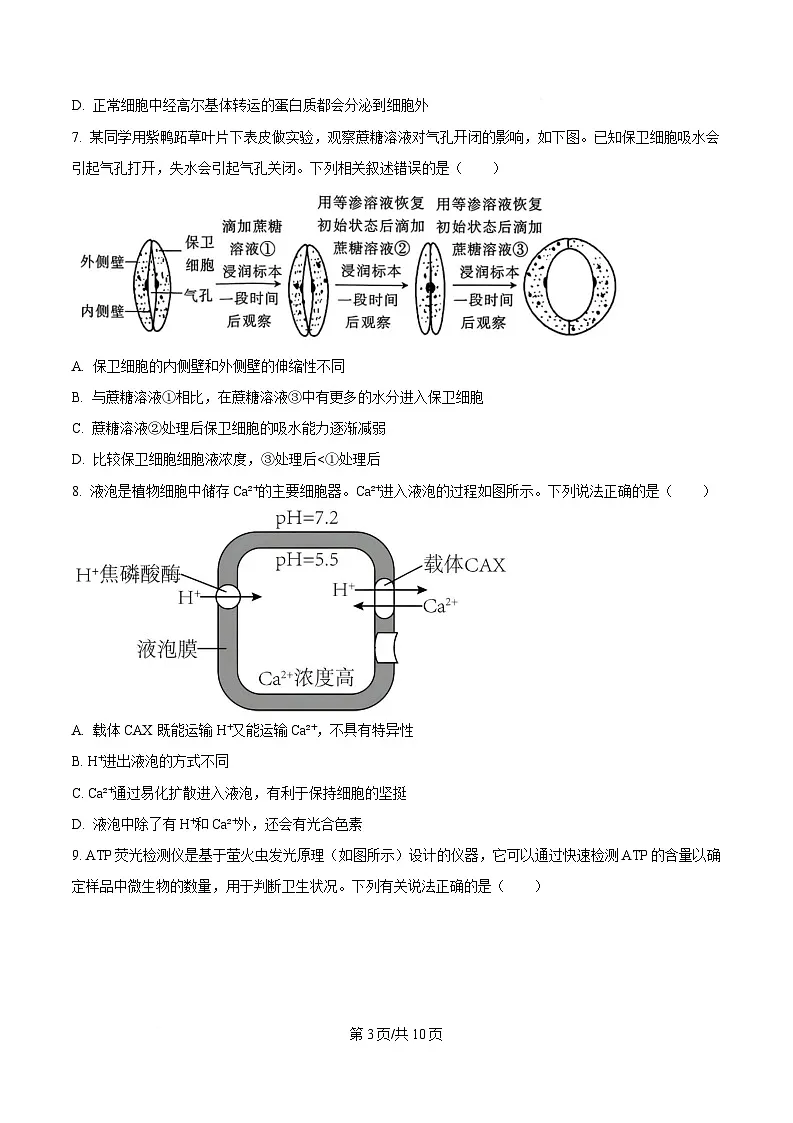 湖南省郴州市2024—2025学年高一上学期期末考试生物试题(原卷版)第3页