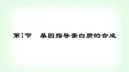 人教版高中生物必修2第4章基因的表達(dá)第1節(jié)基因指導(dǎo)蛋白質(zhì)的合成課件