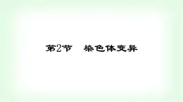 人教版高中生物必修2第5章基因突變及其他變異第2節(jié)染色體變異課件