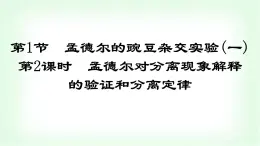 人教版高中生物必修2第1章遺傳因子的發(fā)現(xiàn)第1節(jié)第2課時(shí)孟德爾對分離現(xiàn)象解釋的驗(yàn)證和分離定律課件