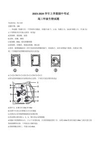 2024届河北省衡水市冀州中学高三上学期期中考试(12月考)-生物试题（含答案）