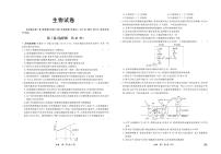2024届河北省衡中同卷高三上学期期中考试（11月）-生物试题（含答案）