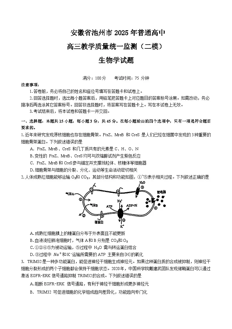 安徽省池州市2025届高三下学期3月二模试题 生物 含答案第1页