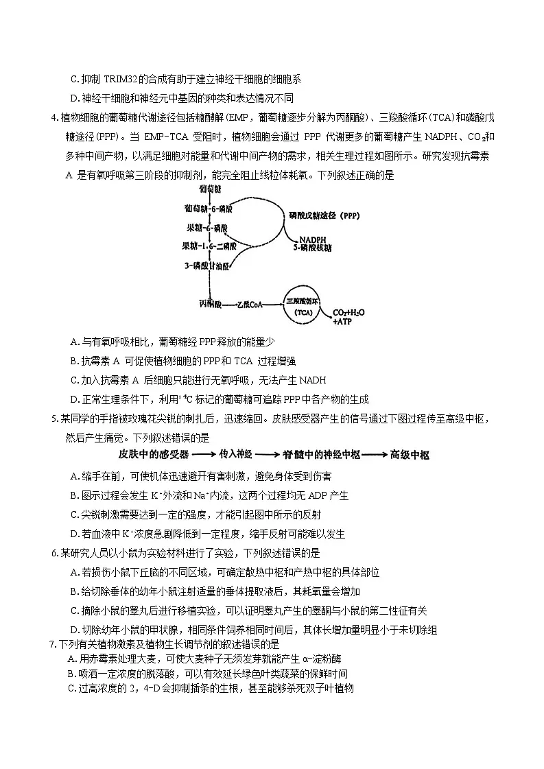 安徽省池州市2025届高三下学期3月二模试题 生物 含答案第2页