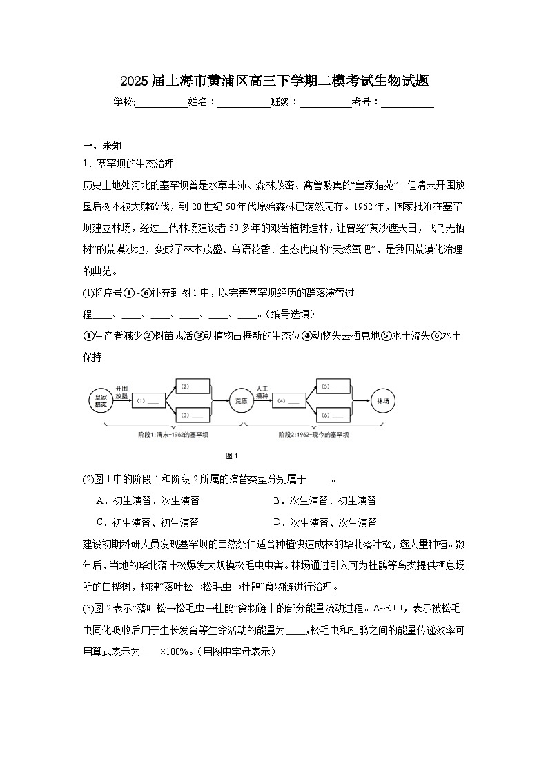 2025届上海市黄浦区高三下学期二模考试生物试题(无答案)第1页