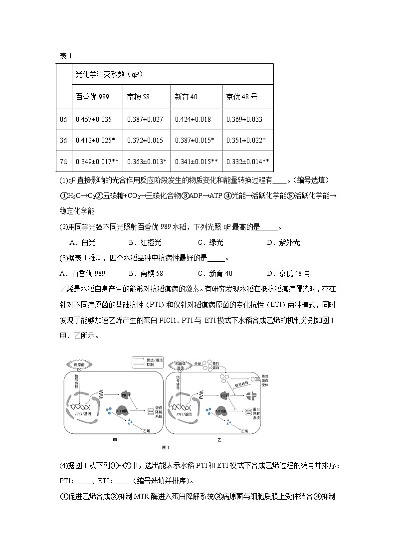 2025届上海市黄浦区高三下学期二模考试生物试题(无答案)第3页