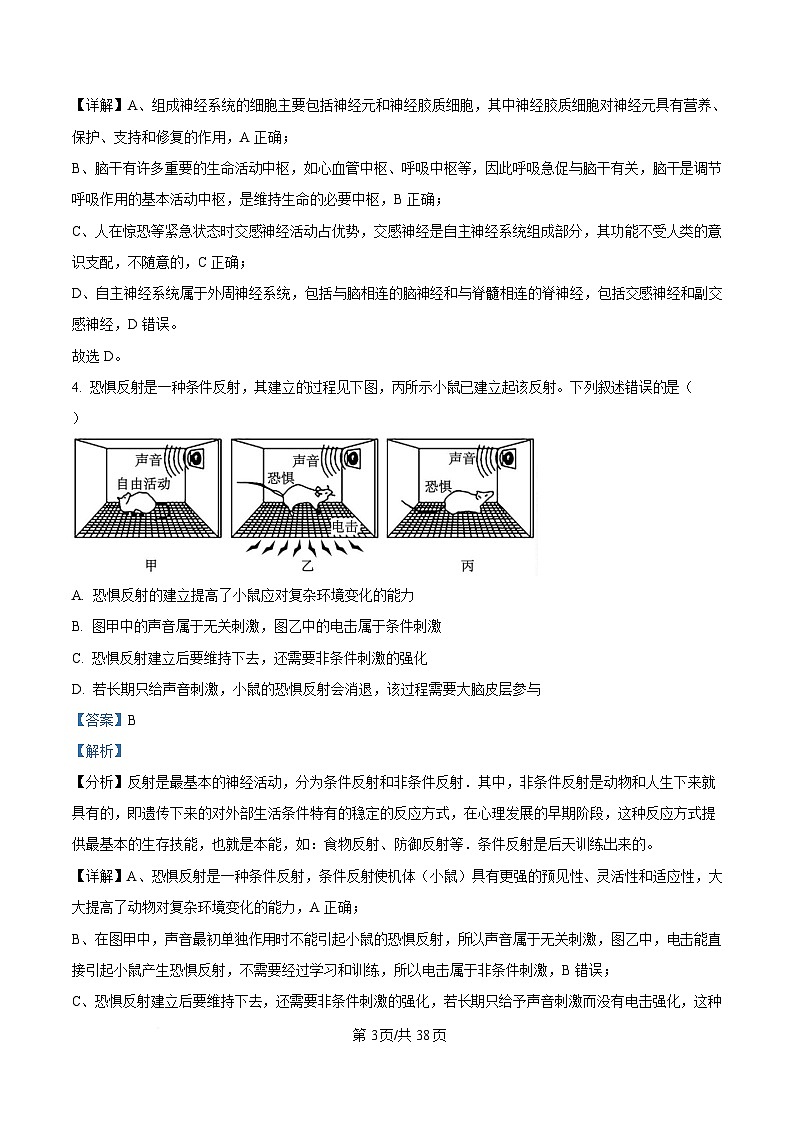 黑龙江省大庆实验中学2024-2025学年高二下学期开学质量检测生物试题 Word版含解析第3页