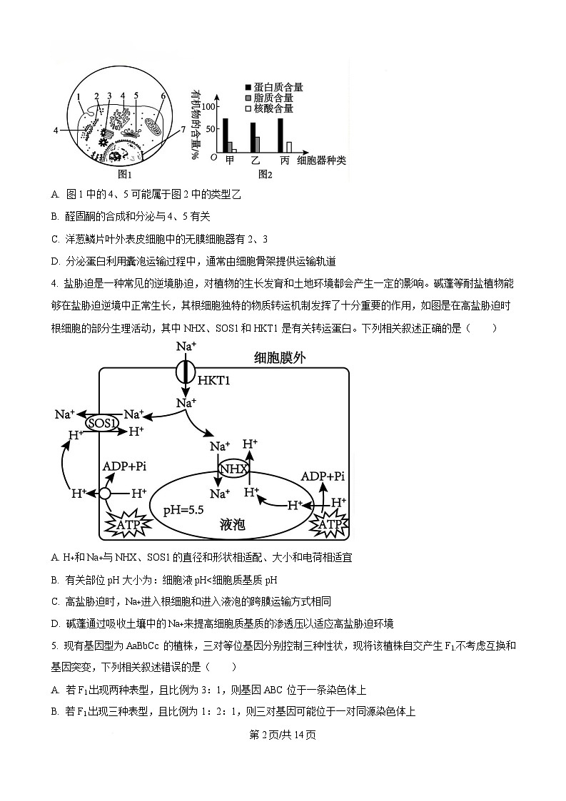 黑龙江省齐齐哈尔市2025届高三下学期一模生物试题(原卷版)第2页