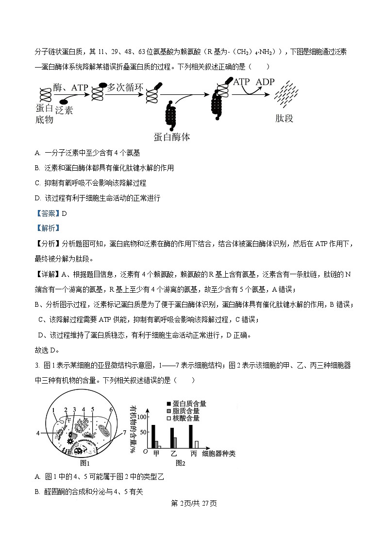 黑龙江省齐齐哈尔市2025届高三下学期一模生物试题 Word版含解析第2页