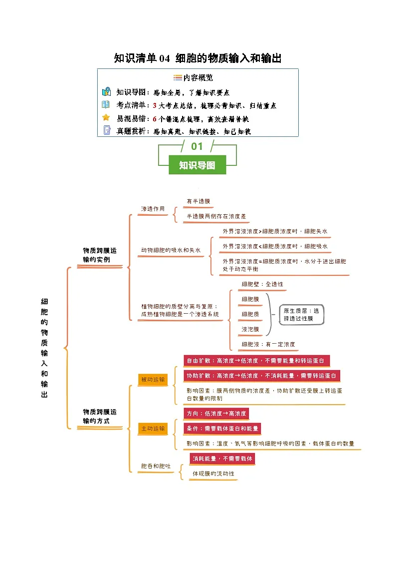 知识清单04+细胞的物质输入和输出(3大考点+6个易错点)-2025年高考生物一轮复习知识清单第1页
