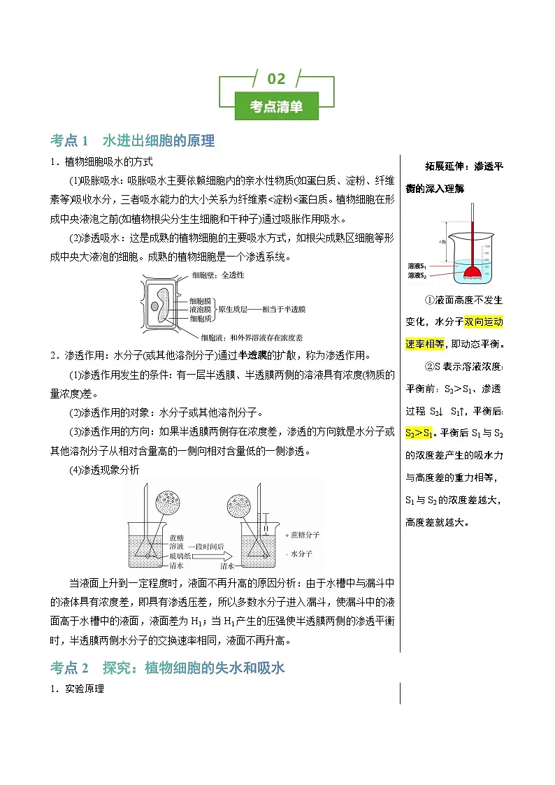 知识清单04+细胞的物质输入和输出(3大考点+6个易错点)-2025年高考生物一轮复习知识清单第2页