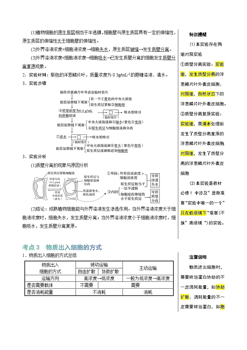 知识清单04+细胞的物质输入和输出(3大考点+6个易错点)-2025年高考生物一轮复习知识清单第3页