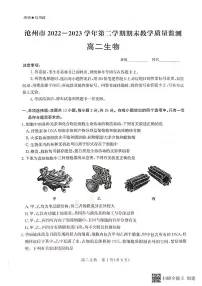 2024届河北省沧州市高二下学期 期末考试 生物试卷(含答案)