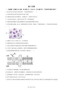2024届河南省南阳市第一中学校高三上学期12月月考-生物试题（含答案）