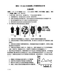 2024届河南省南阳市第一中学校高三上学期第四次月考-生物试题（含答案）