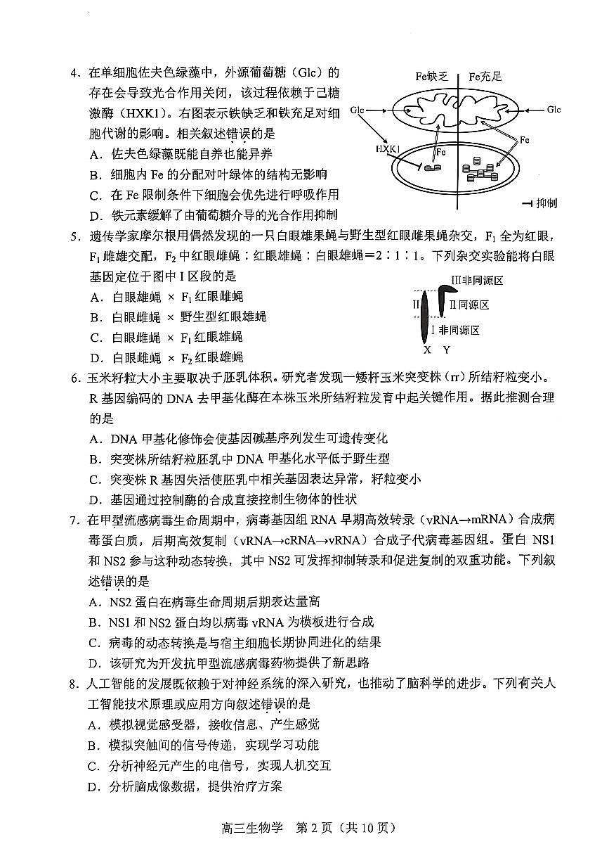 2025北京丰台高三一模生物答案试卷第2页