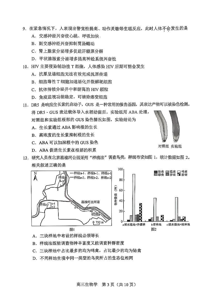 2025北京丰台高三一模生物答案试卷第3页
