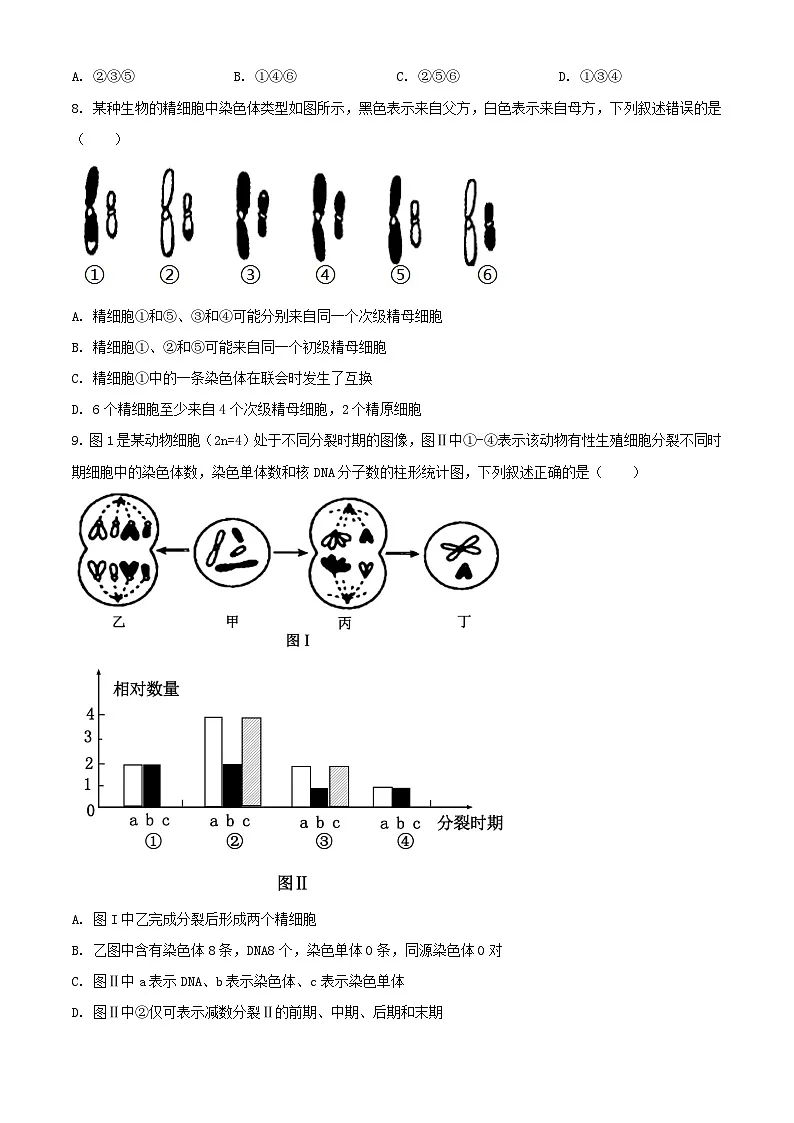 河北省邢台市2023_2024学年高一生物下学期5月期中试题含解析第3页