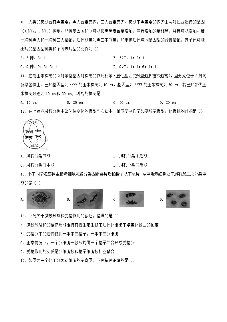 山东省2023_2024学年高一生物下学期3月月考试题含解析第3页