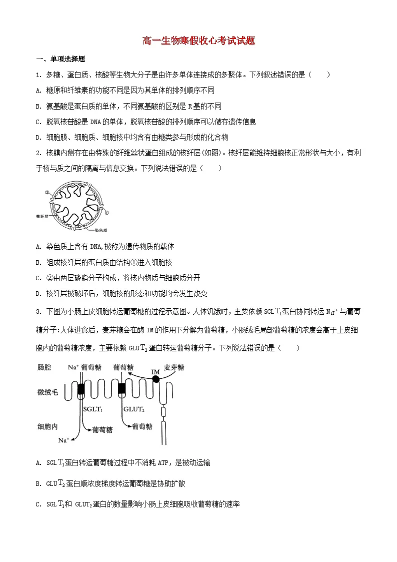 山东省烟台市莱州市2023_2024学年高一生物下学期开学考试含解析第1页