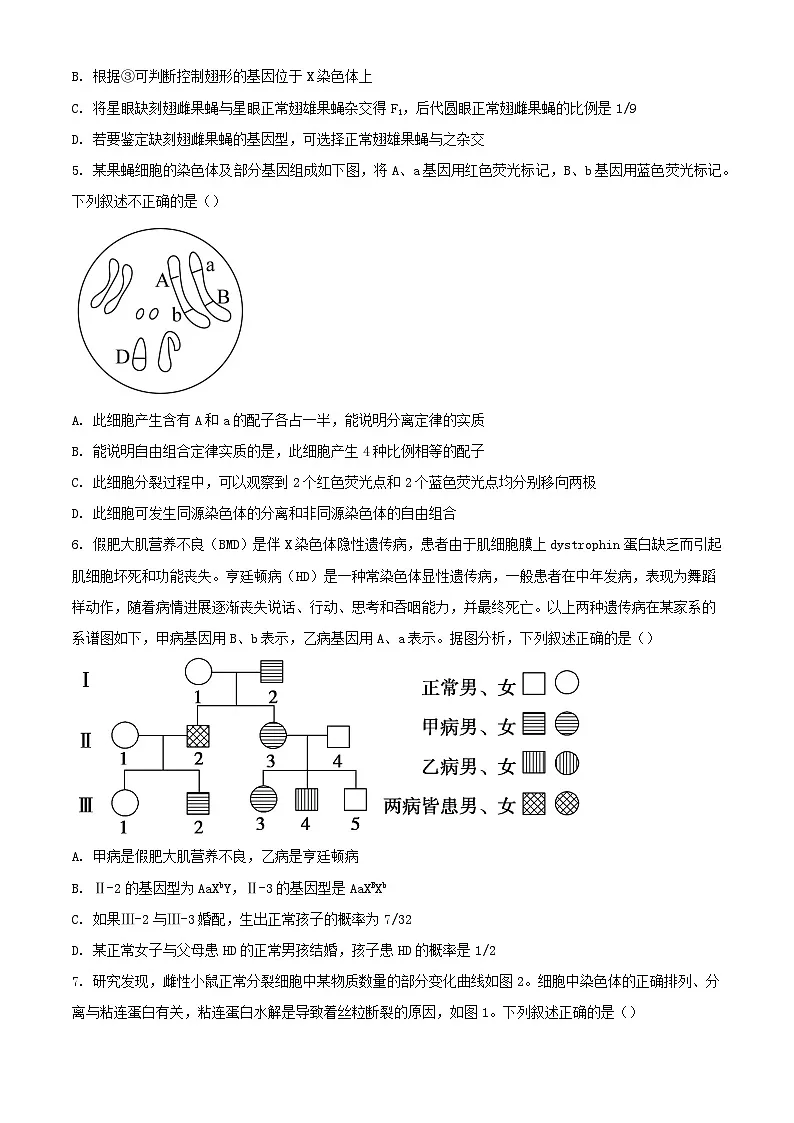 山东省烟台市莱阳市2023_2024学年高一生物下学期3月月考试题含解析第2页