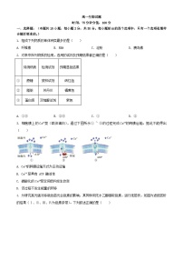 辽宁省2023_2024学年高一生物下学期期初考试含解析