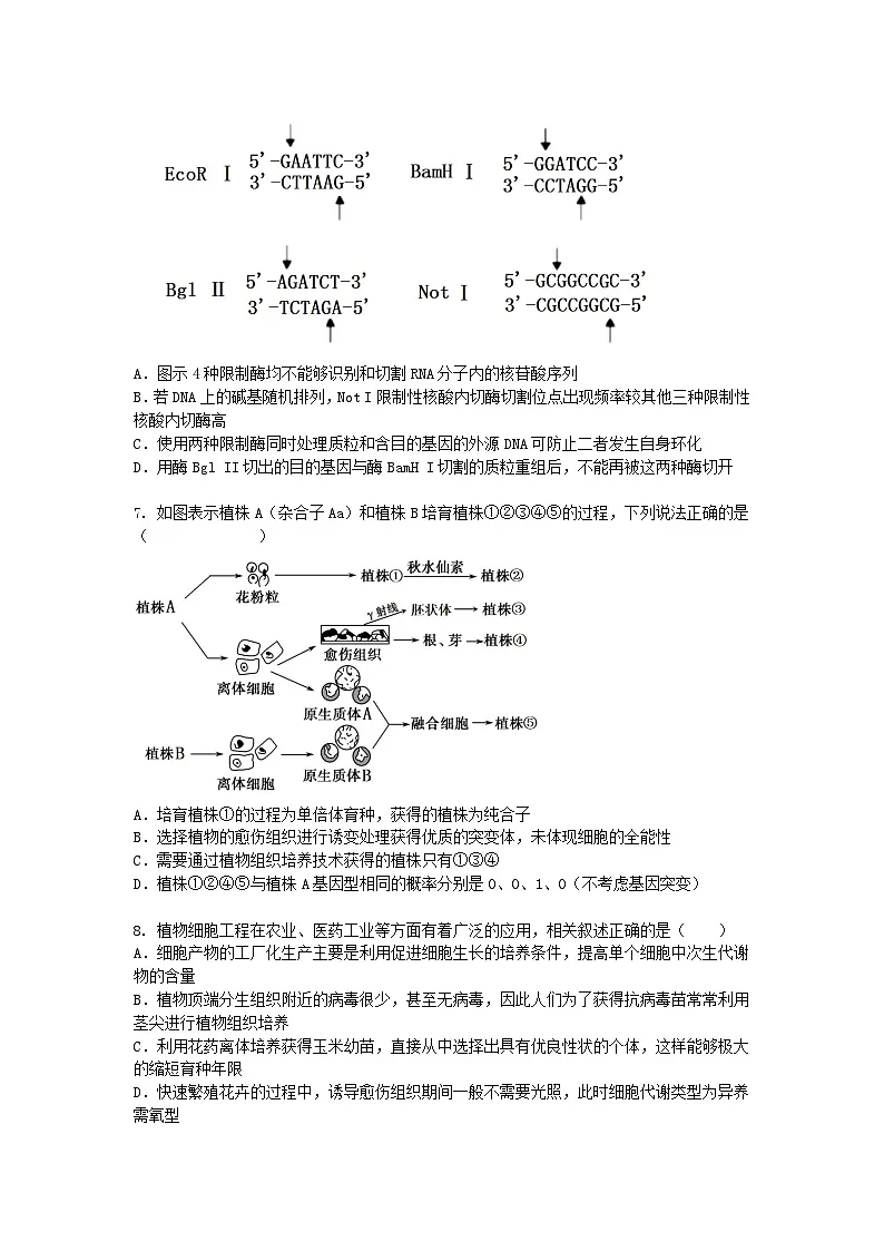 (人教版)高二下学期生物期中考试卷及答案第3页