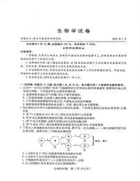 2024届湖北省八市高三下学期3月联考-生物试卷（含答案）