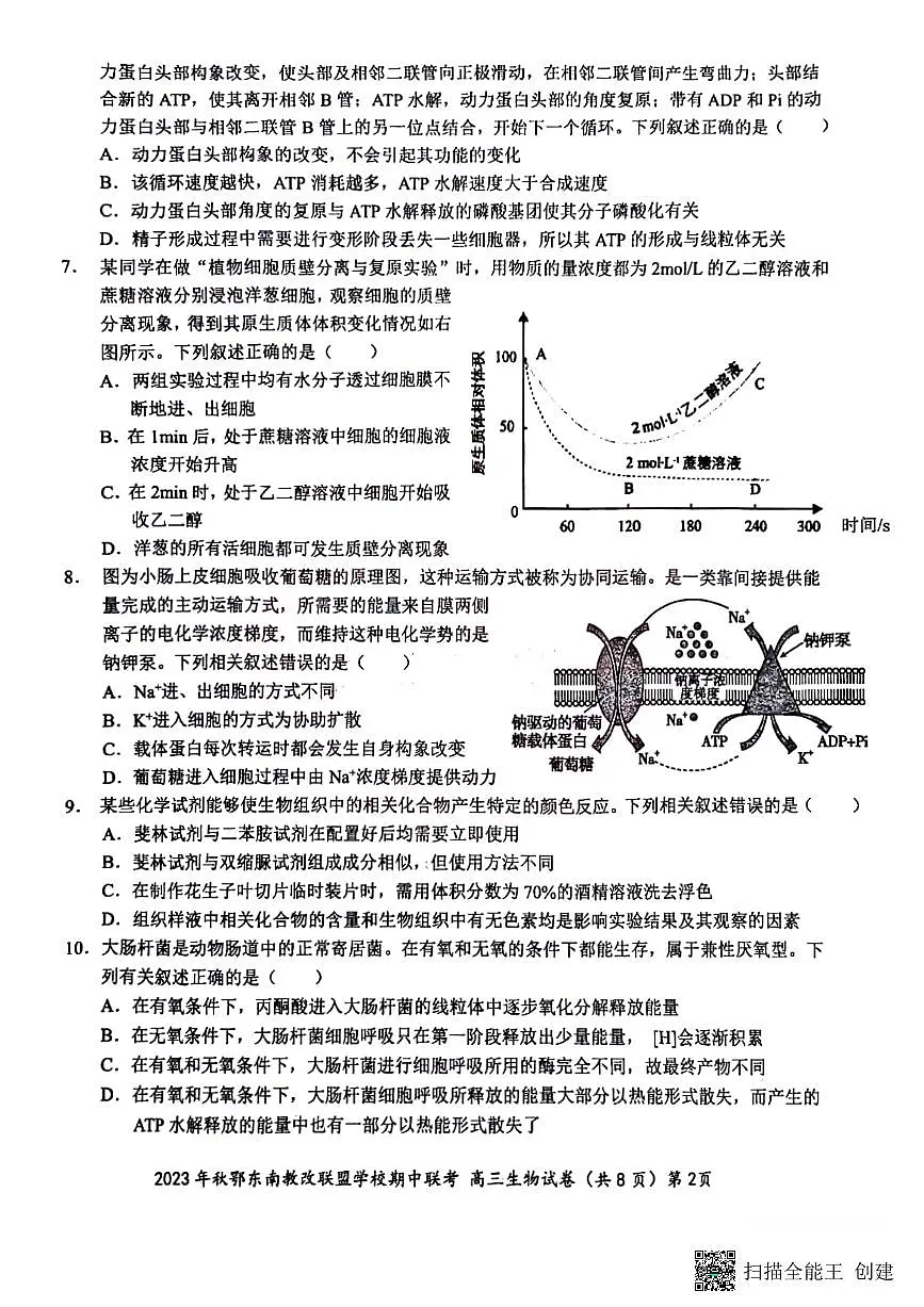 2024届湖北省鄂东南教学改革联盟学校高三上学期期中联考-生物试题(含答案)第2页