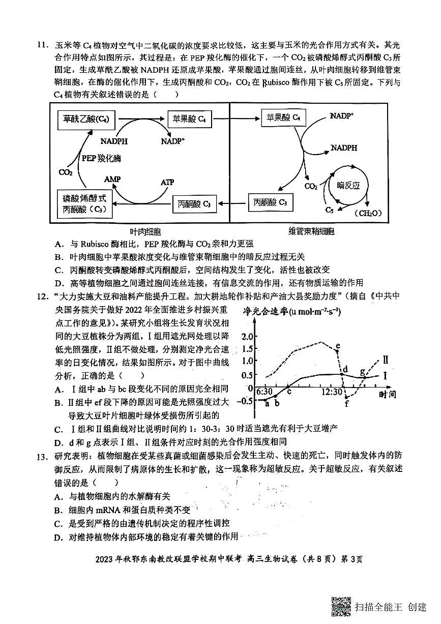2024届湖北省鄂东南教学改革联盟学校高三上学期期中联考-生物试题(含答案)第3页