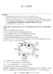 2024届湖北省九师联盟高三上学期11月教学质量检测-生物试题（含答案）
