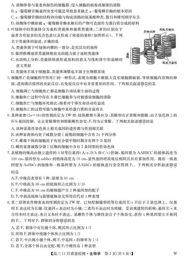 2024届湖北省九师联盟高三上学期11月教学质量检测-生物试题(含答案)第2页