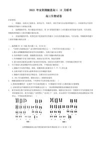 2024届湖北省宜荆荆恩高三上学期12月联考-生物试题（含答案）