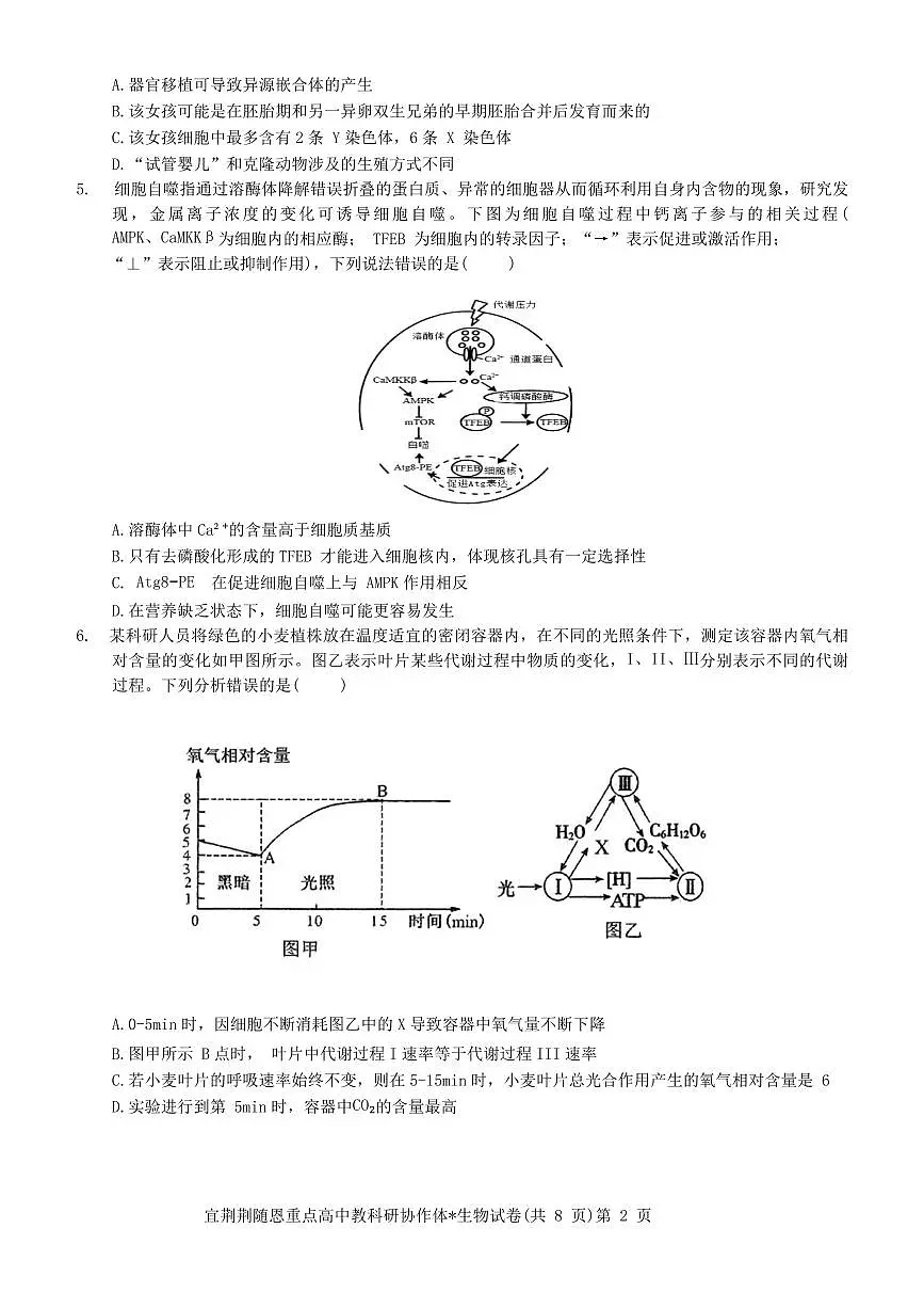 2024届湖北省宜荆荆恩高三上学期12月联考-生物试题(含答案)第2页