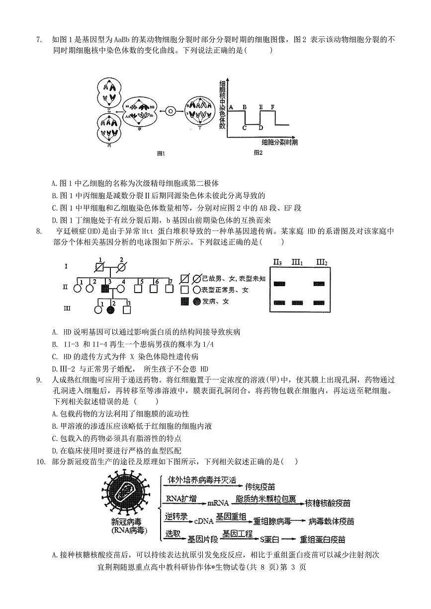 2024届湖北省宜荆荆恩高三上学期12月联考-生物试题(含答案)第3页