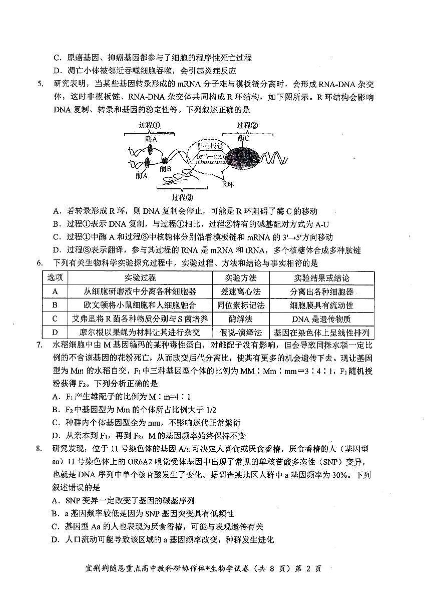 2024届湖北省宜荆荆随恩高三二模-生物试卷(含答案)第2页