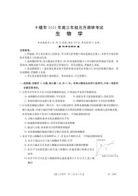2024届湖北省十堰市高三上学期期末考试（1月）-生物试题（含答案）